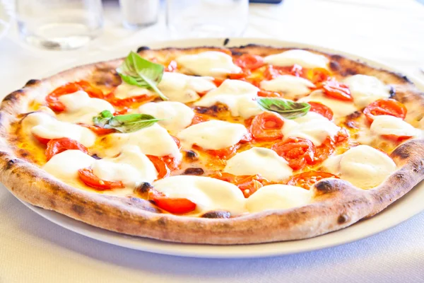 Bianco Mushroom.